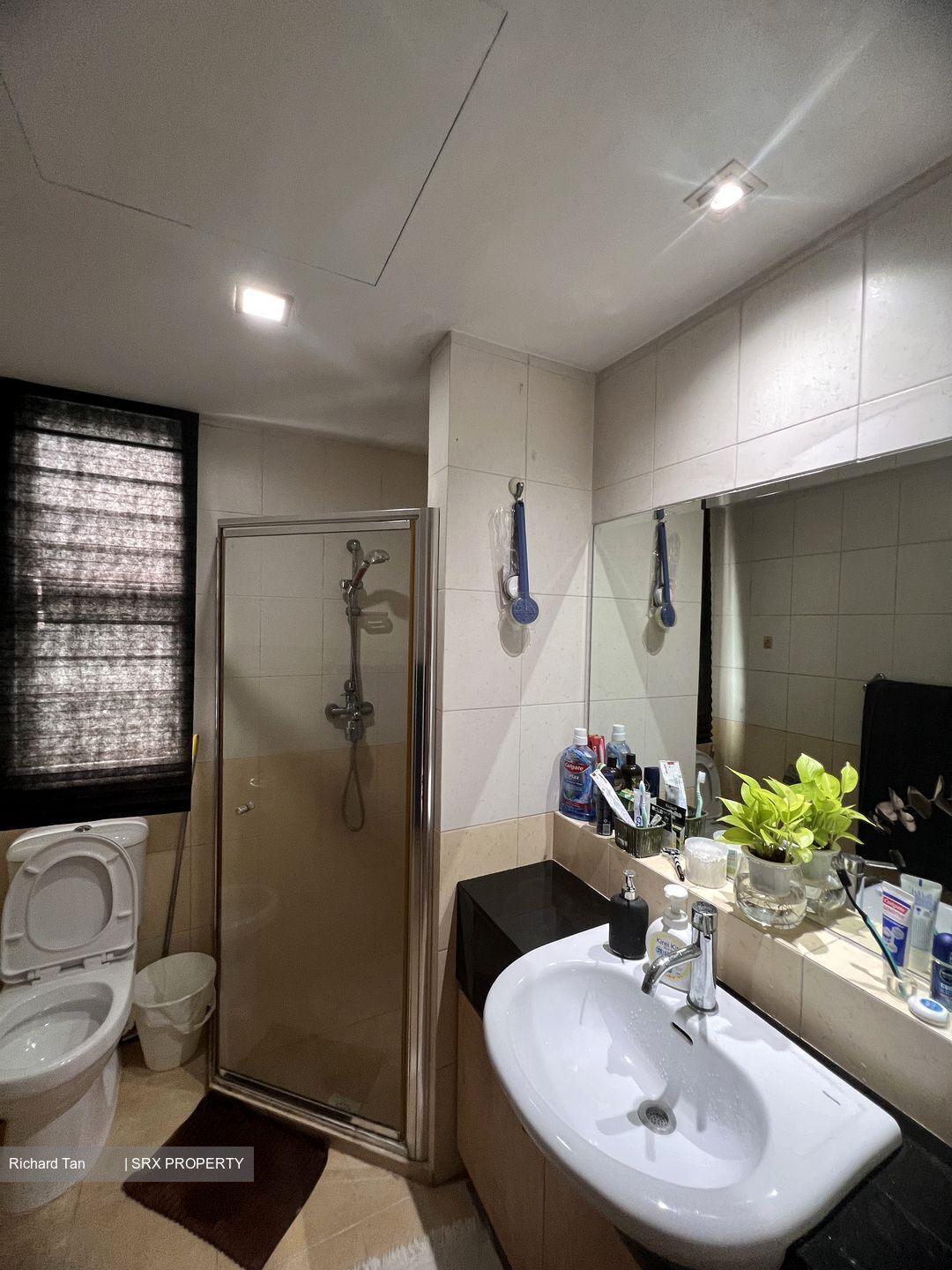 The Alcove (D14), Apartment #380840631